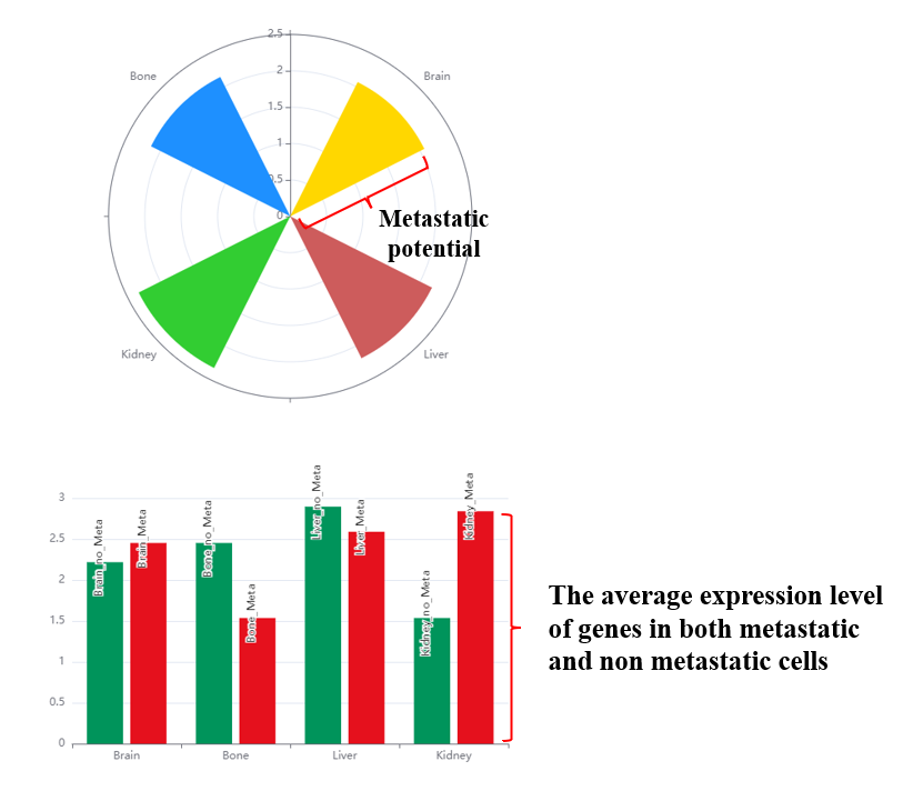 Metastatic potential